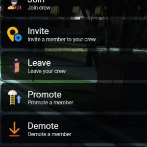 Crew System For Gangs or Family Best FiveM Shop Best FiveM Shop