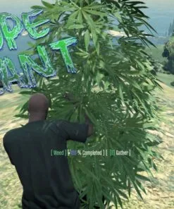MF DopePlant [ESX Legacy]
